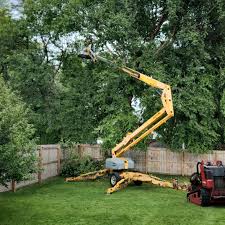 Why Choose Our Tree Removal Services in Manor, PA?